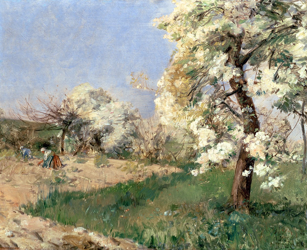 Pæreblomster, Villiers-de-Bel (olje på panel) av Childe Frederick Hassam