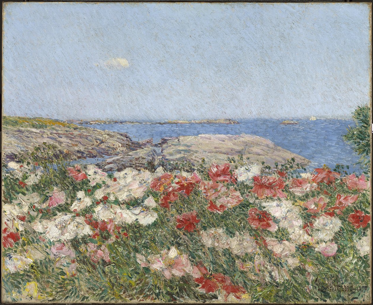 Valmuer på Isles of Shoals av Childe Frederick Hassam