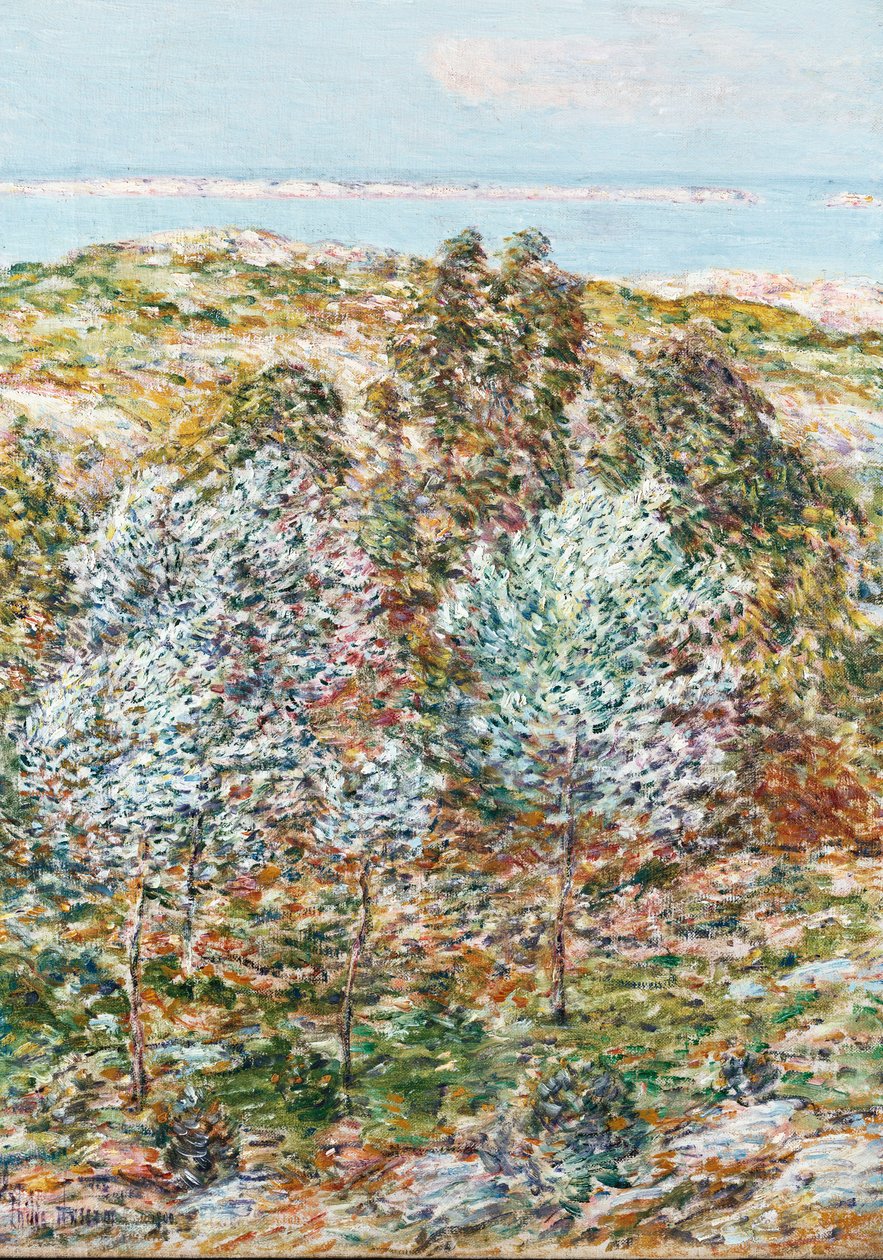 Vårsyn av Childe Frederick Hassam