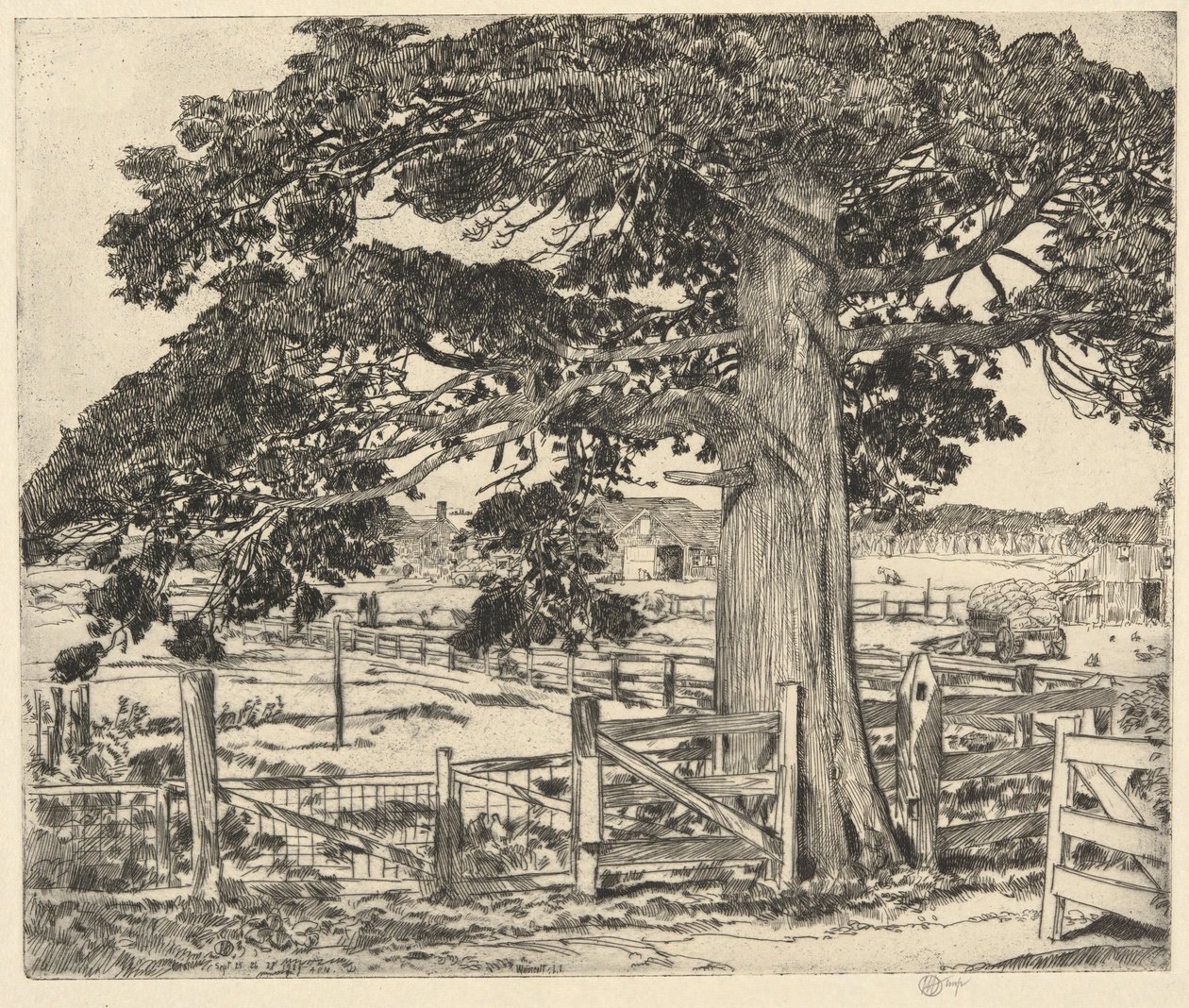 Big Cedar, Wainscott, L. I., 1929 av Childe Hassam