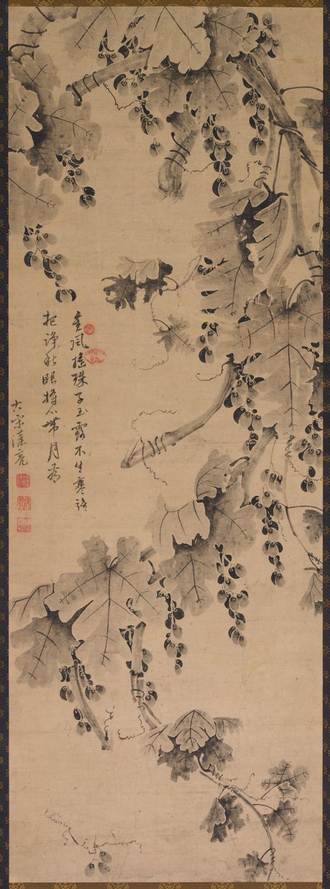 Grapevine av China, Qing dynasty