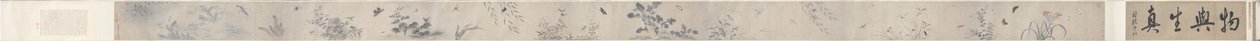 Insekter og blomster av China, Qing dynasty