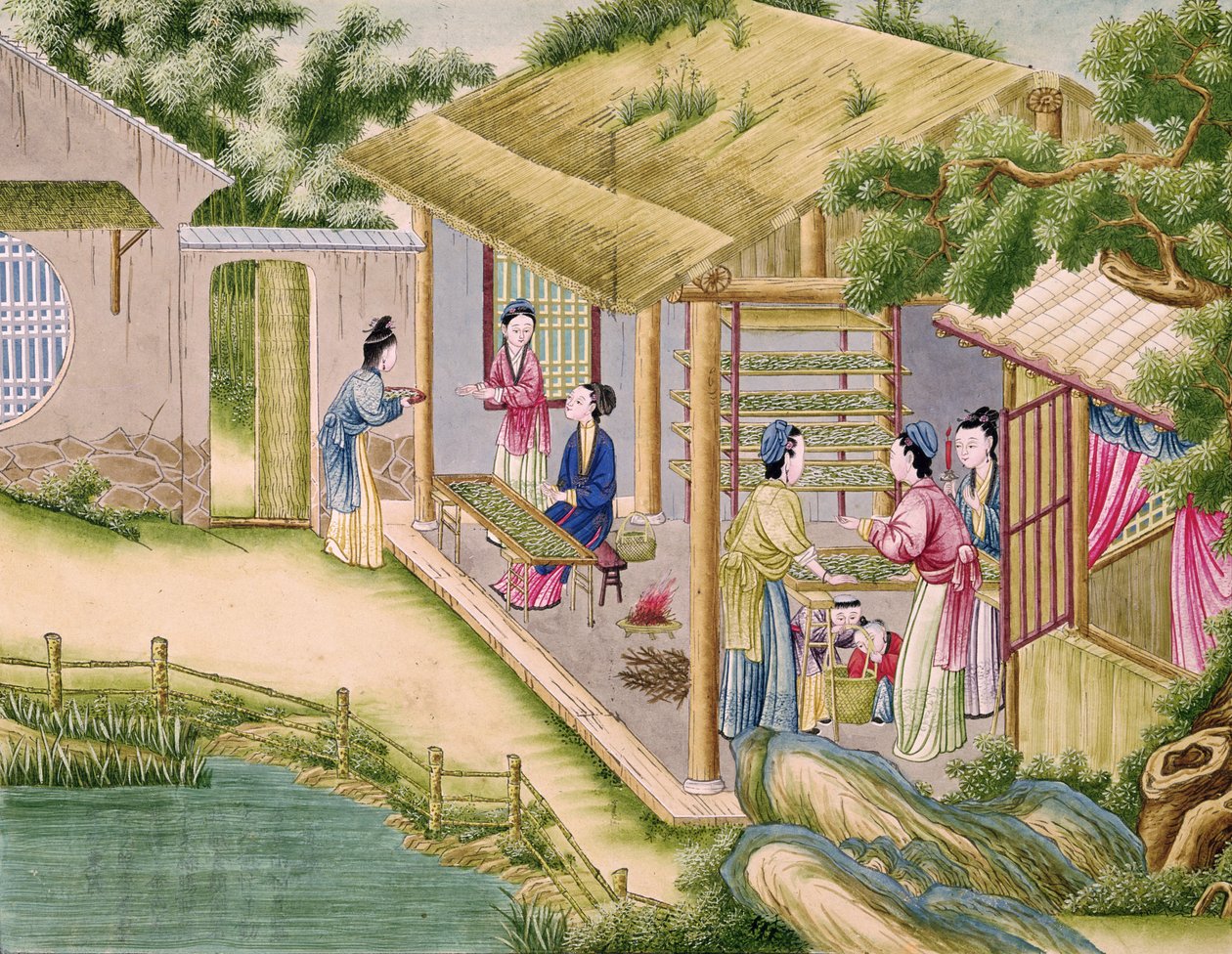 Ms 202 fol.2 Lære om silkeorm, fra en bok om silkeindustrien av Chinese School