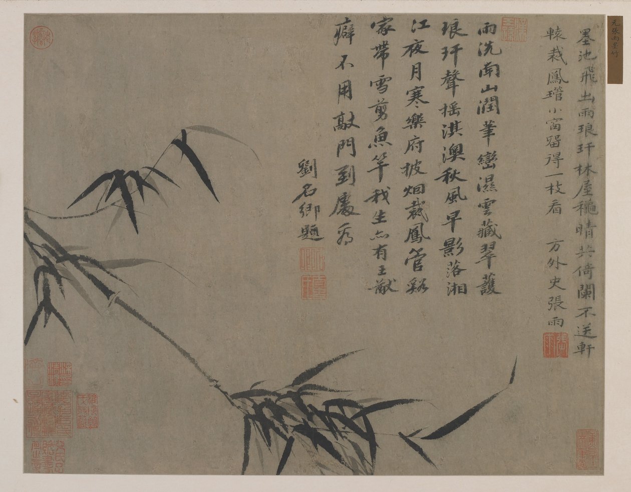 En spray av bambus, muligens Qing-dynastiet (blekk på papir) av Chinese School