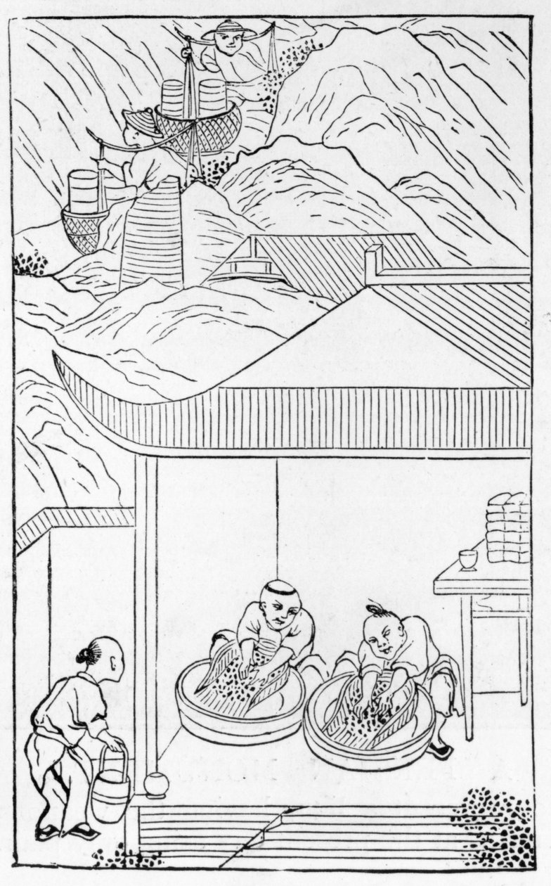 Samle og vaske den blå emaljen for farging, fra en serie illustrasjoner om fremstilling av porselen (se 384116 og 384117 for hele serien) av Chinese School