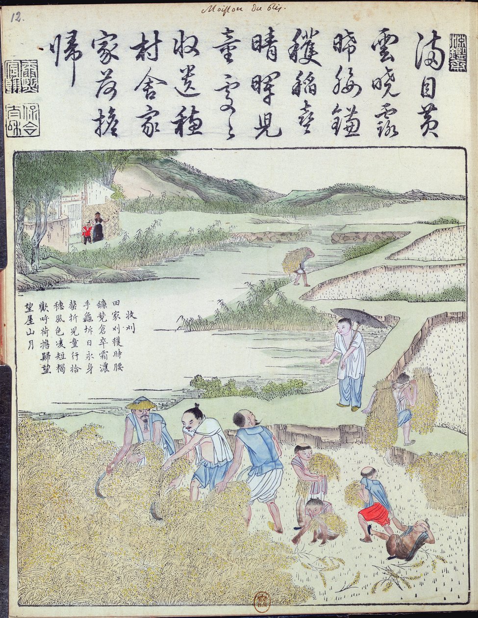 Harvest, The Rice Culture in China (farget treblokktrykk) av Chinese School
