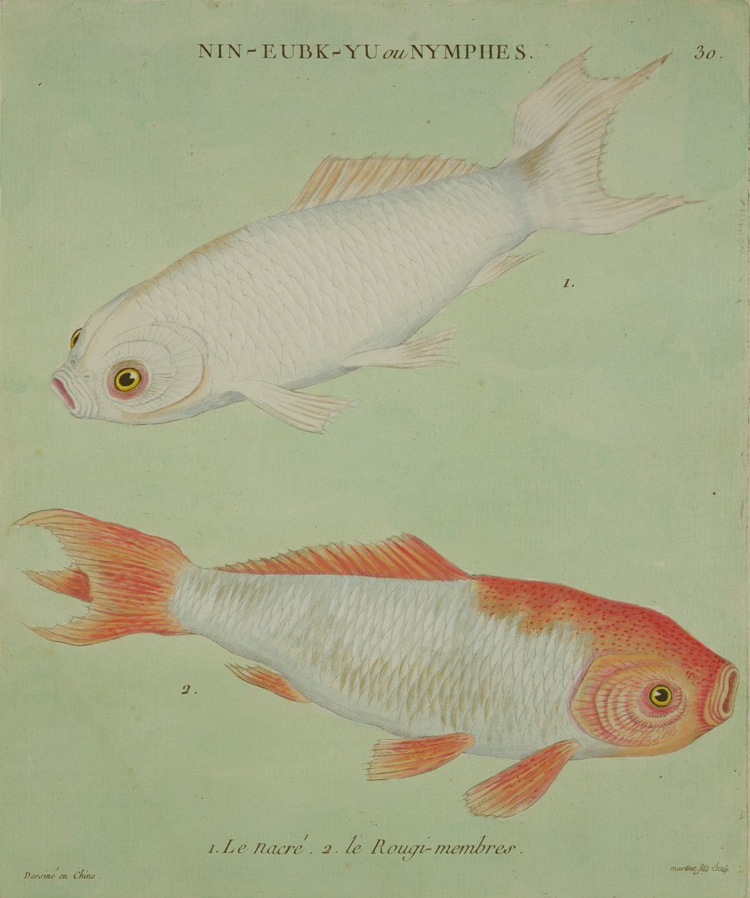 Le Nacre, Le Rougi-medlemmer, gravert av Francois Nicholas Martinet (1731-s.1796) (trykk) av Chinese School