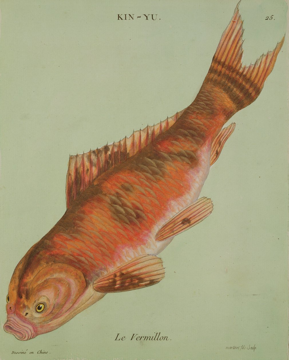 Le Vermilion, gravert av Francois Nicholas Martinet (1731-s.1796) (trykk) av Chinese School