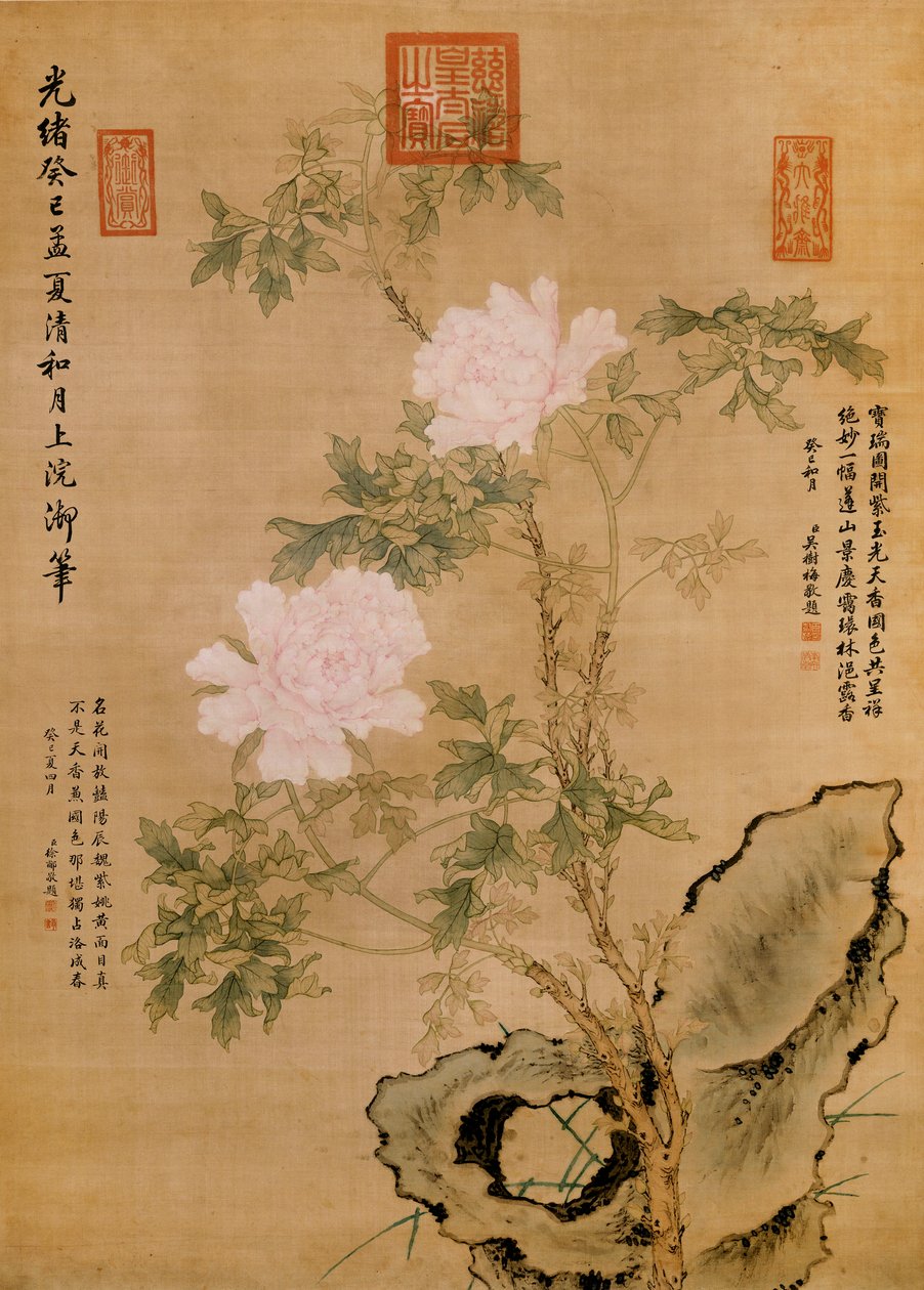Peonies and Rock, 1893 av Chinese School