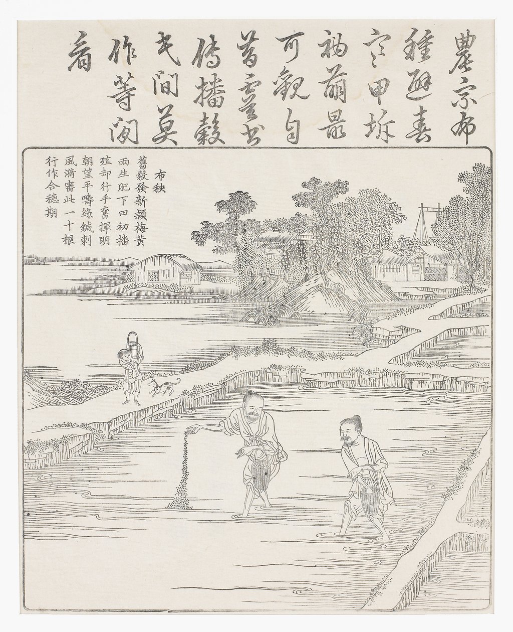 Såing av risen i et frøbed., 1700-tallet av Chinese School