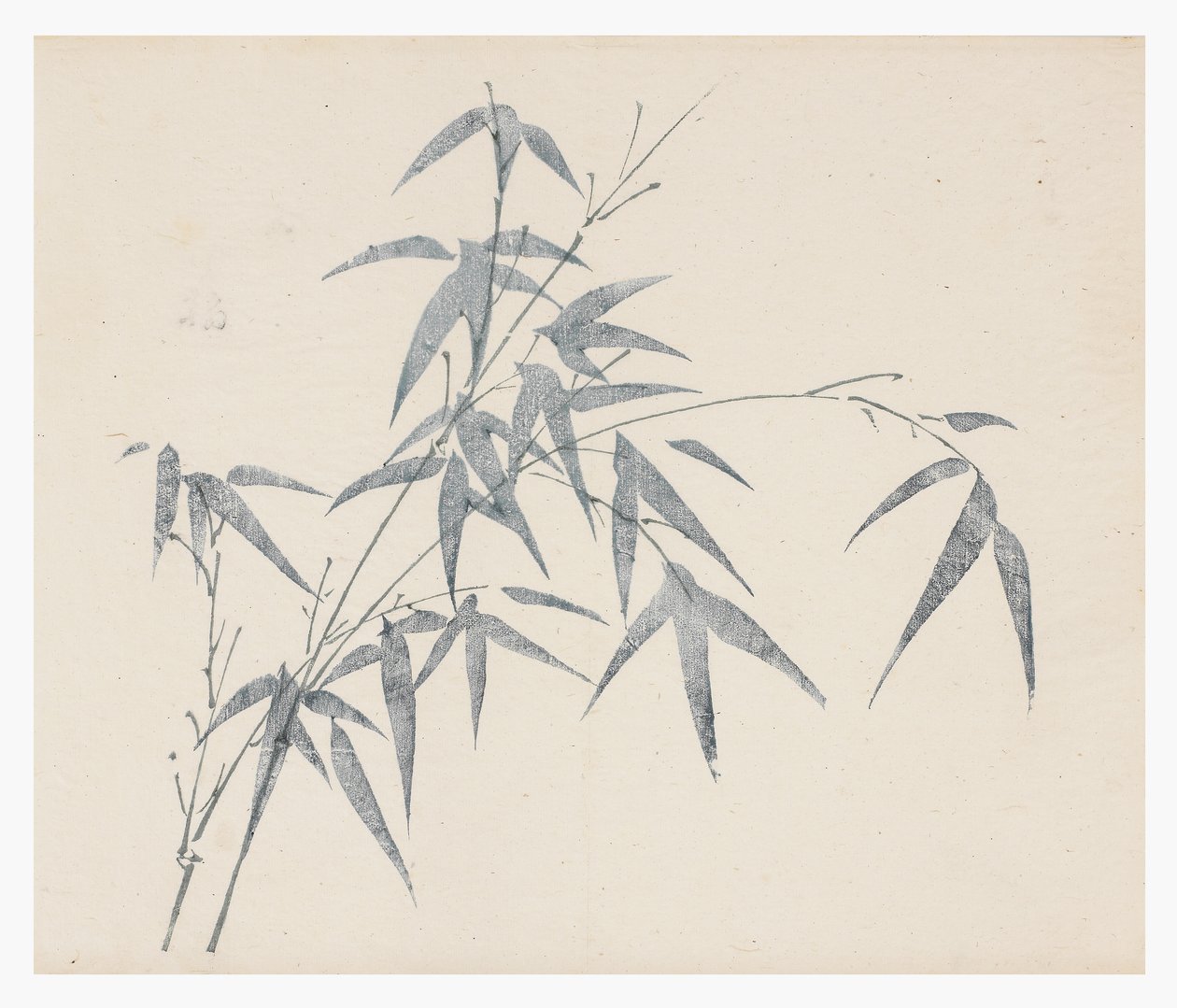 Ten Bamboo Series, 1700-tallet av Chinese School