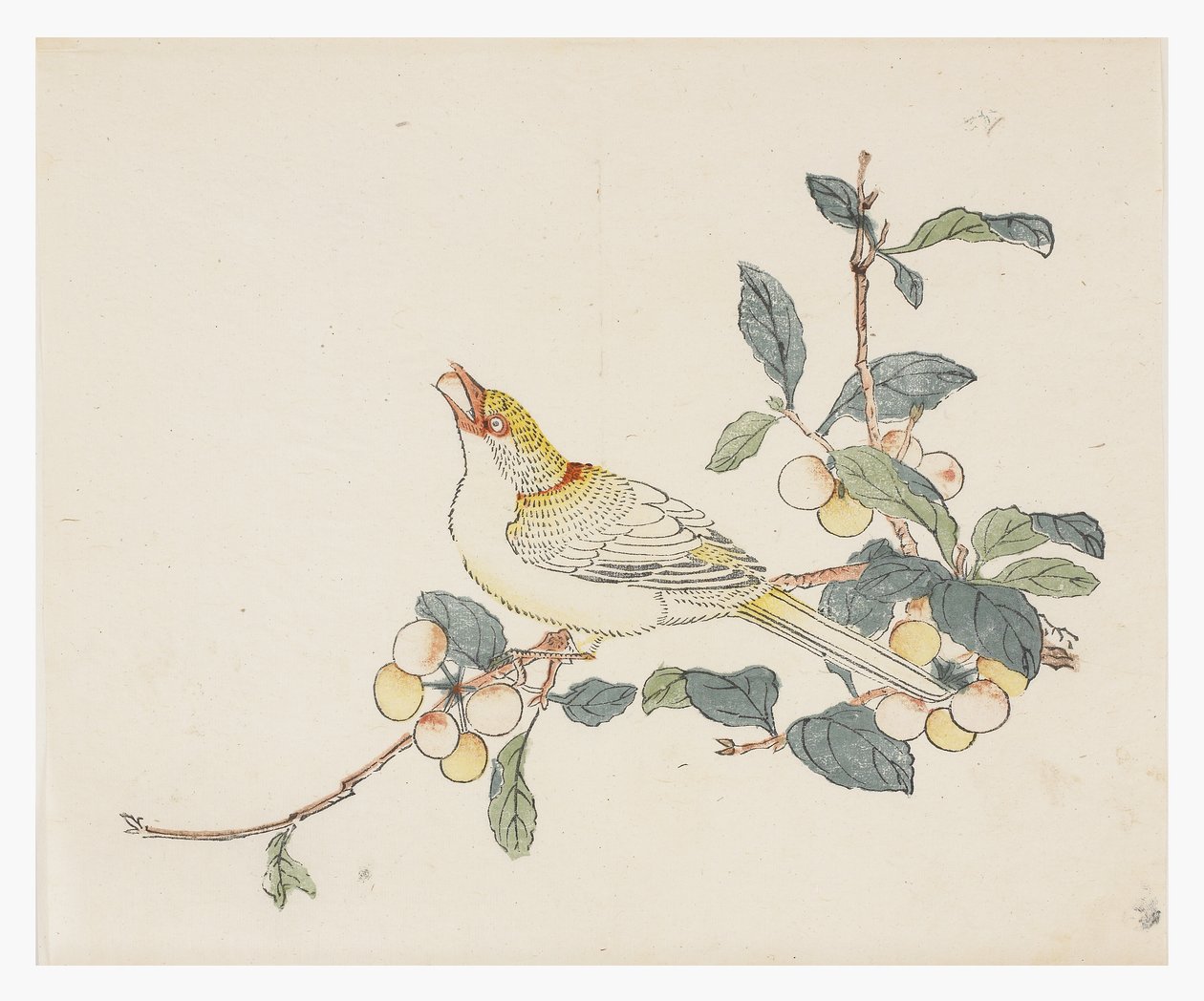 Ten Bamboo Series, 1700-tallet av Chinese School