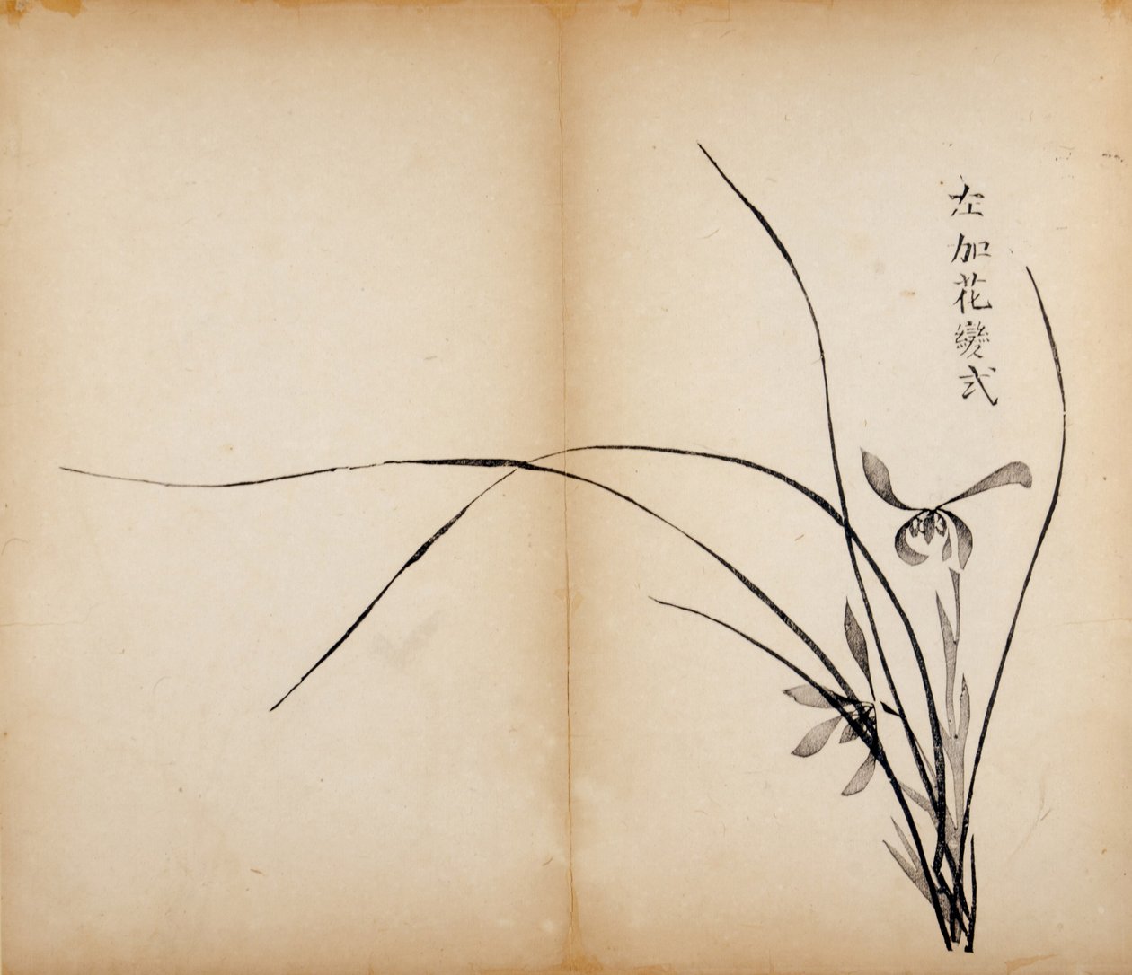 Ti Bamboo Studio Prints, 1643 (treblokk) av Chinese School
