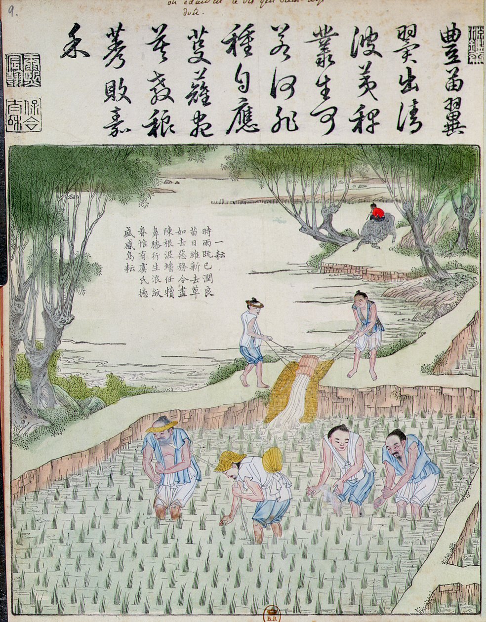 Luking, riskulturen i Kina (farget treblokktrykk) av Chinese School