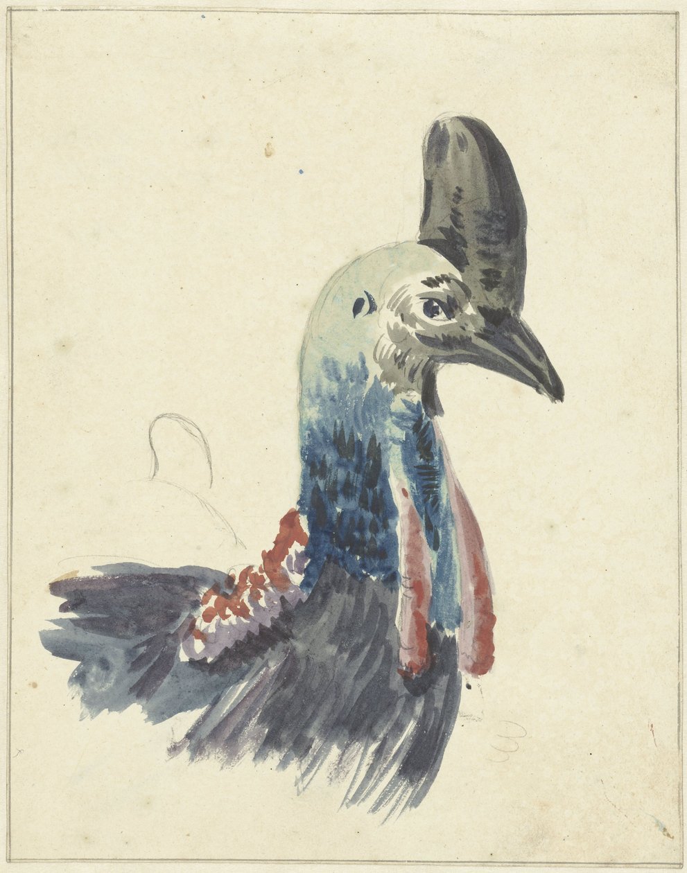 Leder for Cassowary, akvarell av Christiaan van Geelen