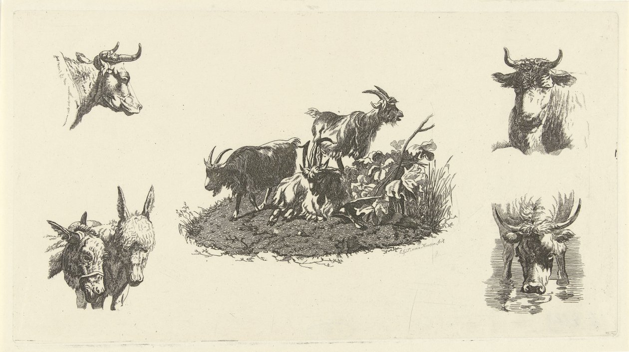 Tre geiter med kuhoder og eselhoder på hver side av Christiaan Godfried Schutze van Houten