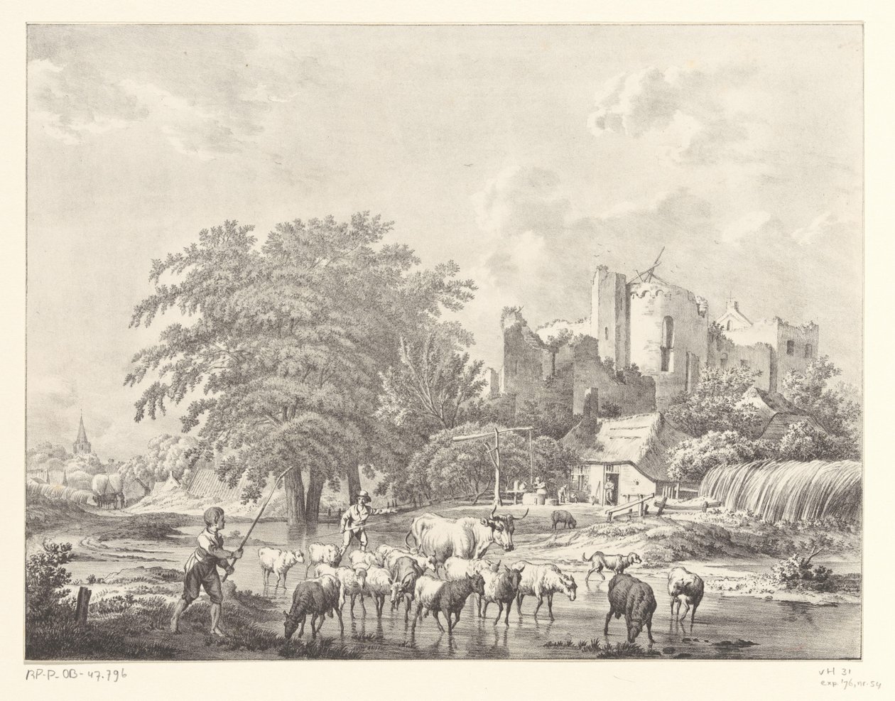Storfeflokk ved ruinene av Brederode Kasteel Castle av Christiaan Josi