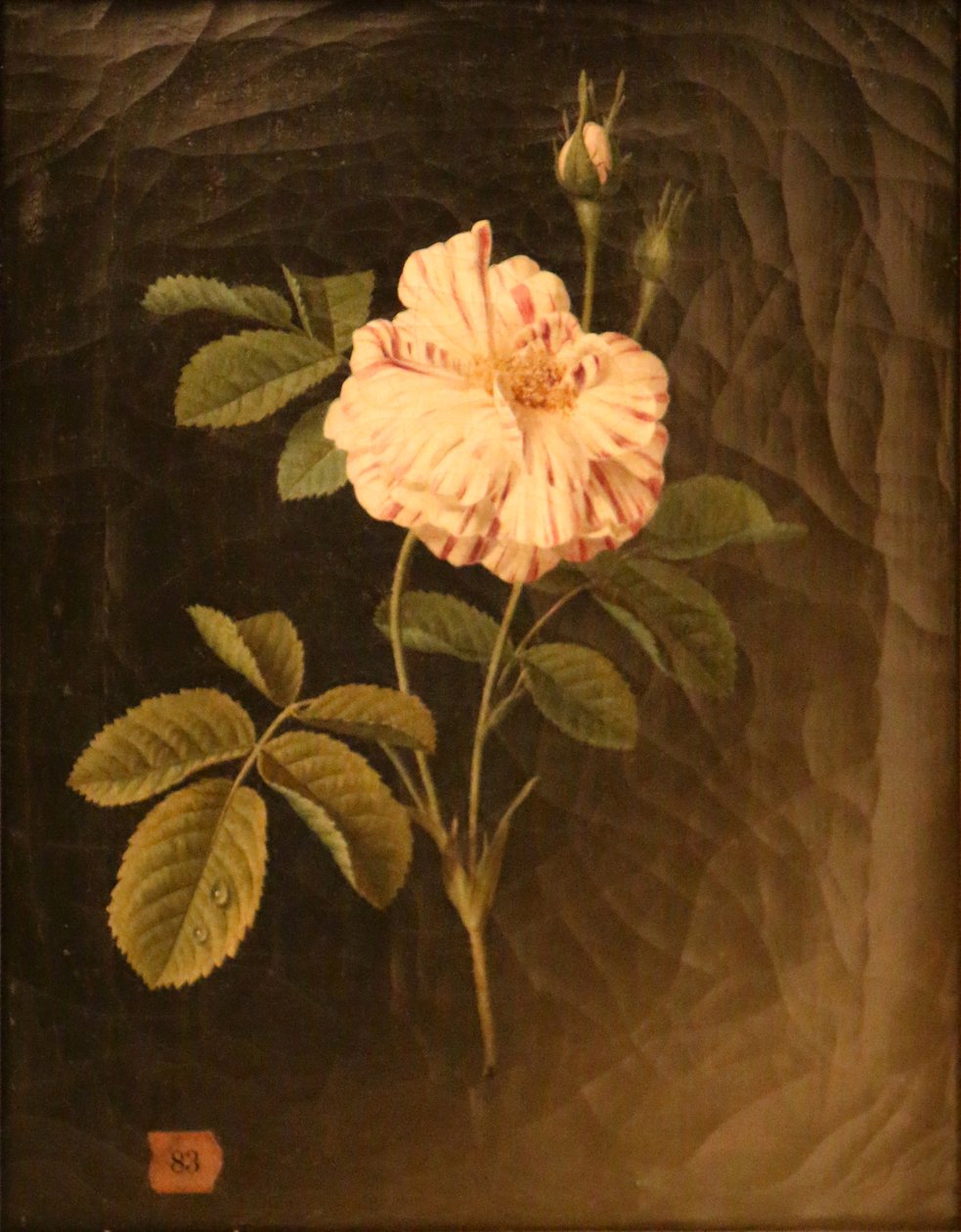  av Christiaan van Pol