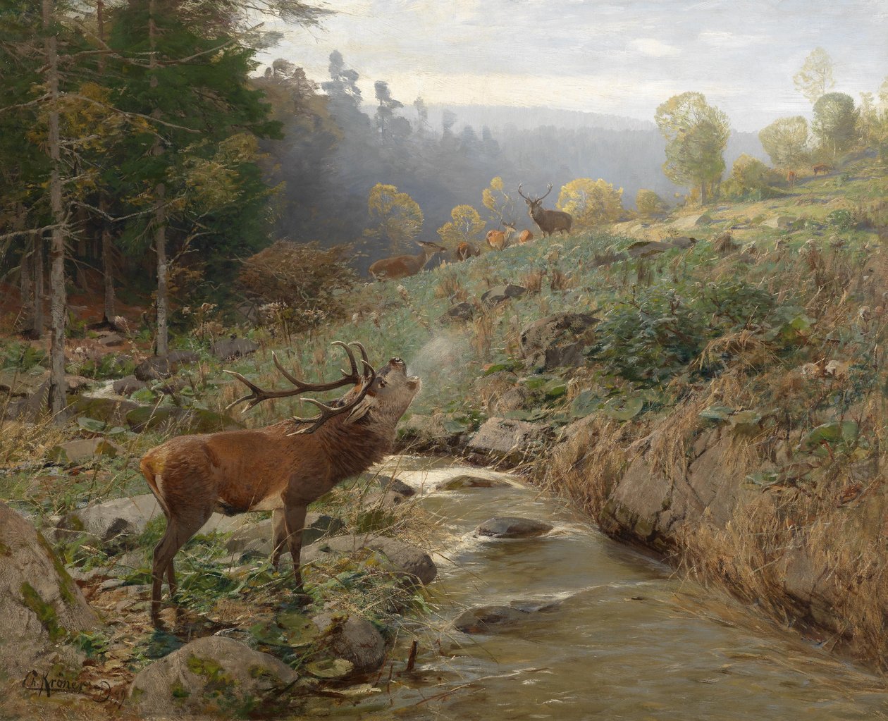 Pakke med hjort i en skogrydding av Christian Kröner