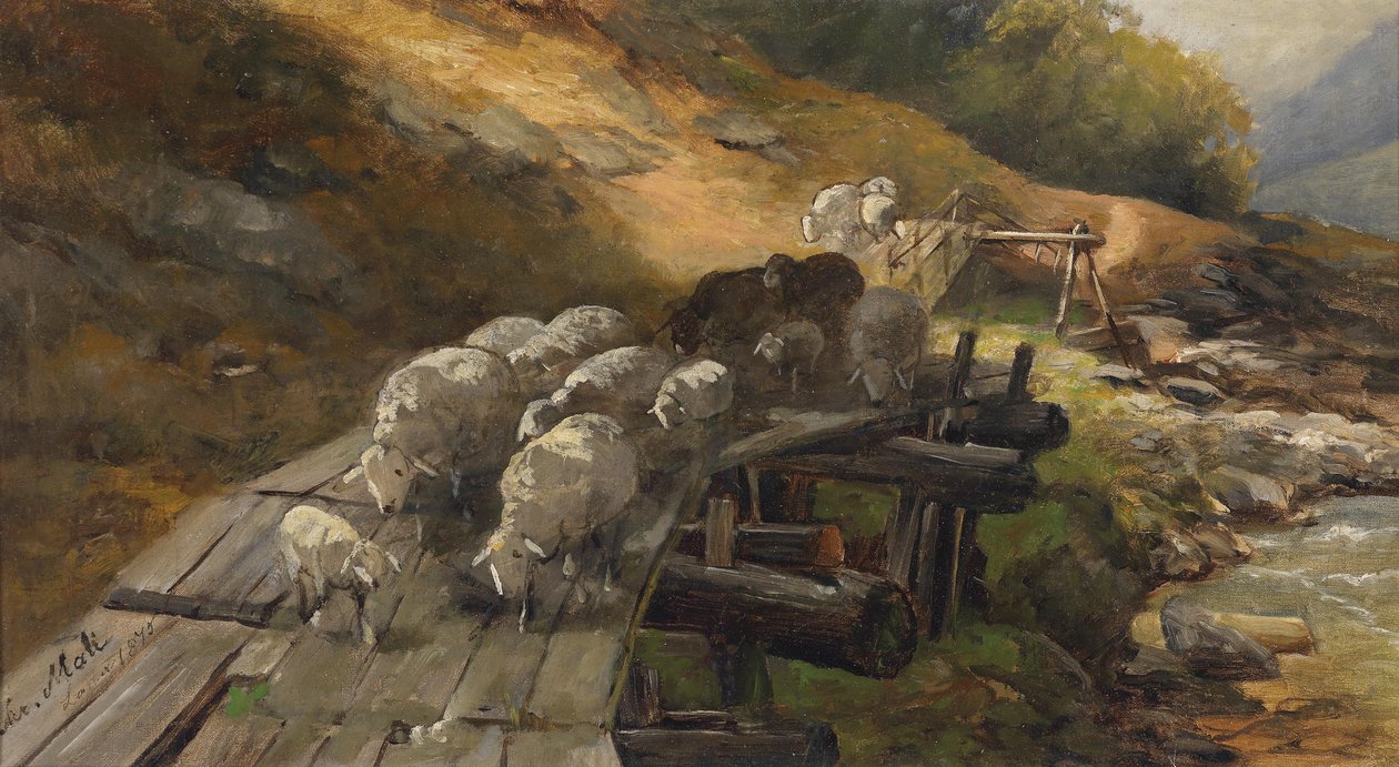 Sau krysser en elv av Christian Mali