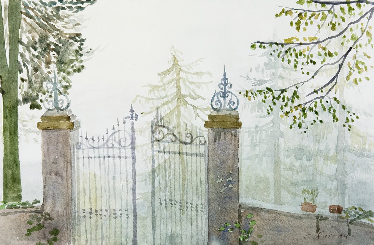  av Christian Furr
