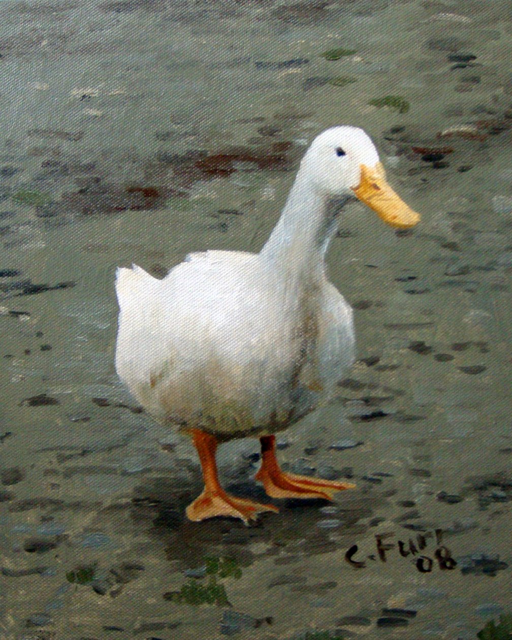  av Christian Furr