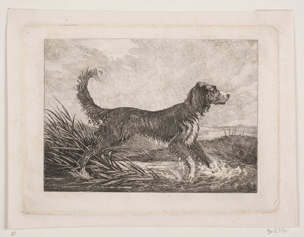 En hund av Christian Holm