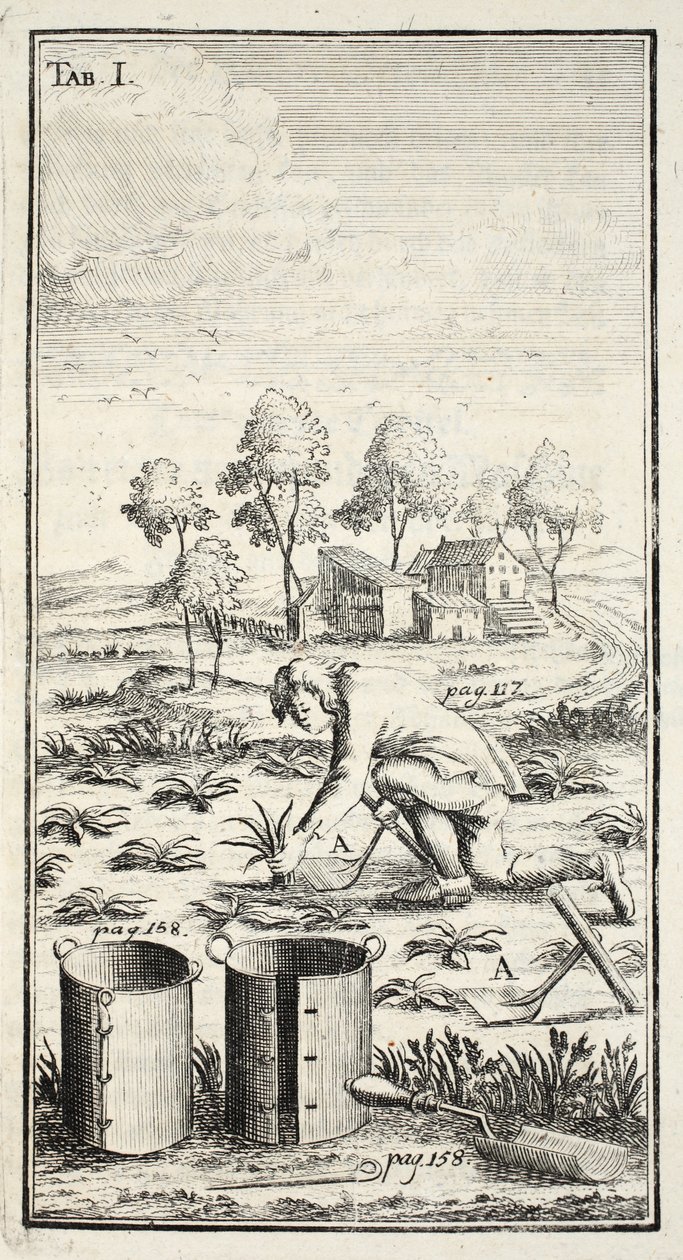 Gardener Harvesting, pub. Erfurt i Thüringen, 1753-55 av Christian Reicharts