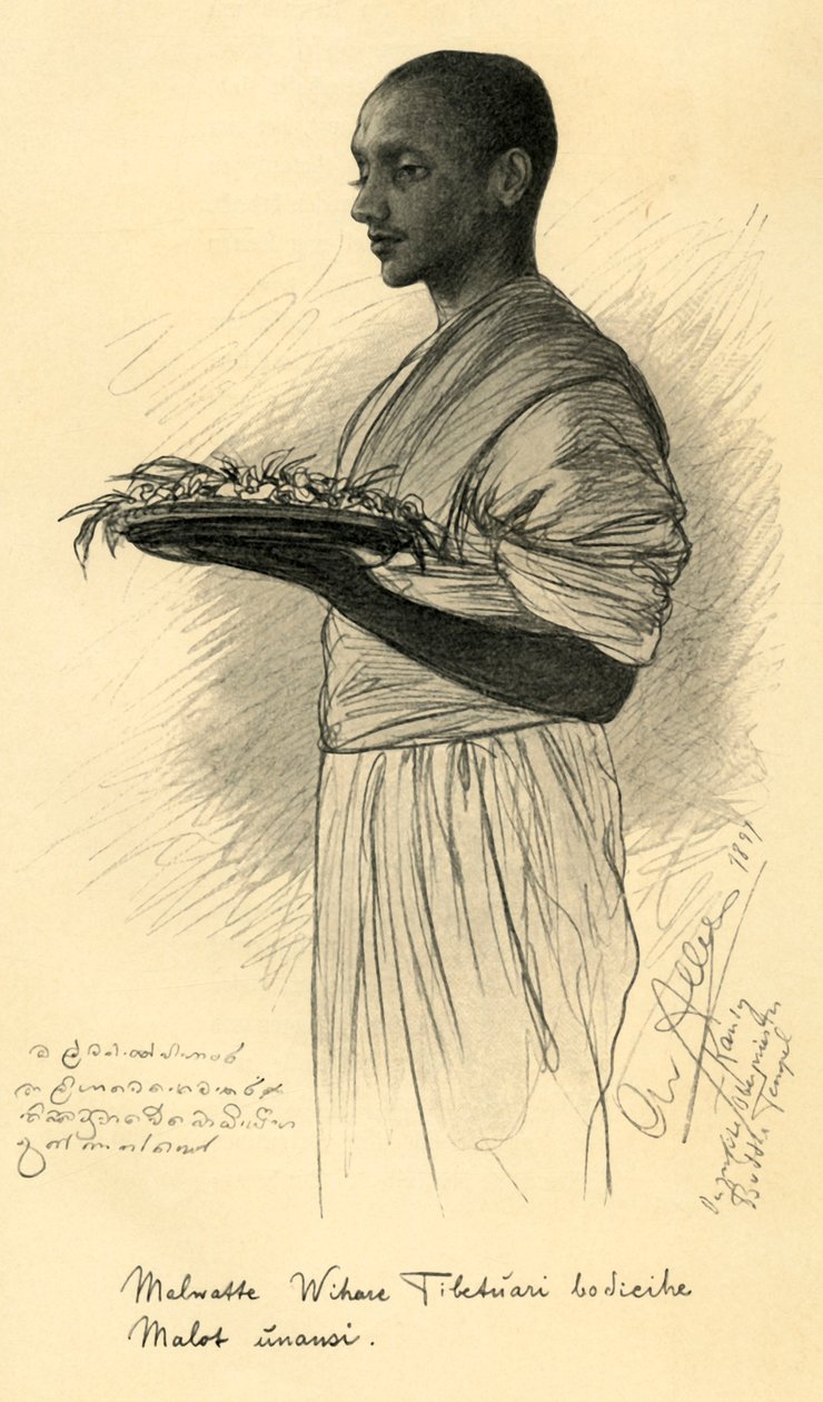 Buddhistmunk, Ceylon, 1898. av Christian Wilhelm Allers