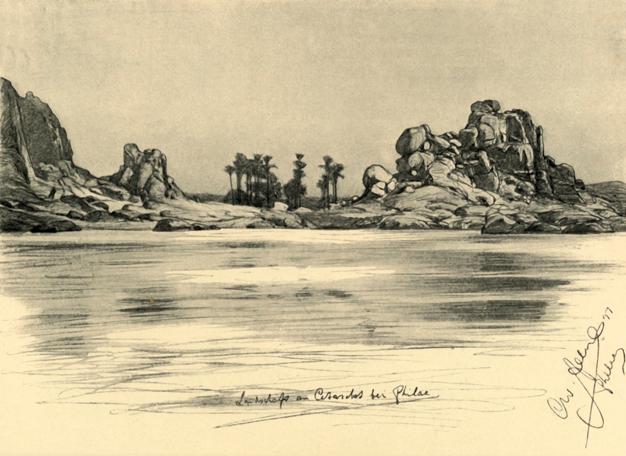 Første grå stær nær øya Philae ved Nilen, Egypt, 1898. av Christian Wilhelm Allers