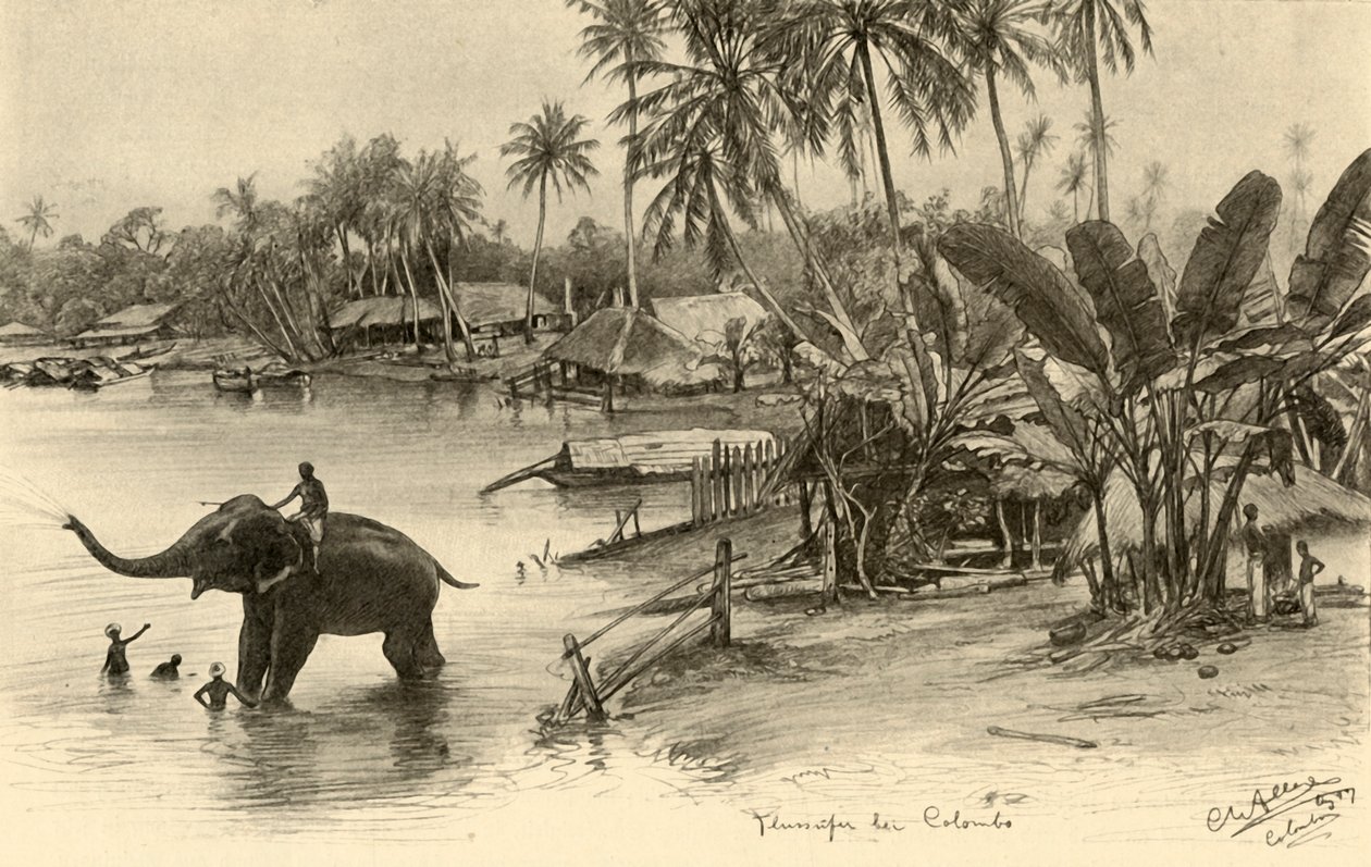 Vasker en elefant i elven, Colombo, Ceylon, 1898. av Christian Wilhelm Allers