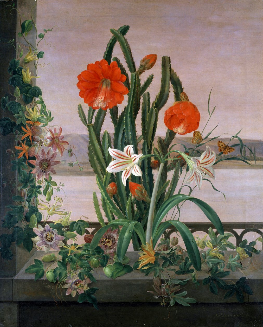 Stilleben av kaktus, liljer og pasjonsblomster i en vinduskarm. Maleri av Christine Marie Lovmand (1803–1872). Privat samling. av Christine Lovmand