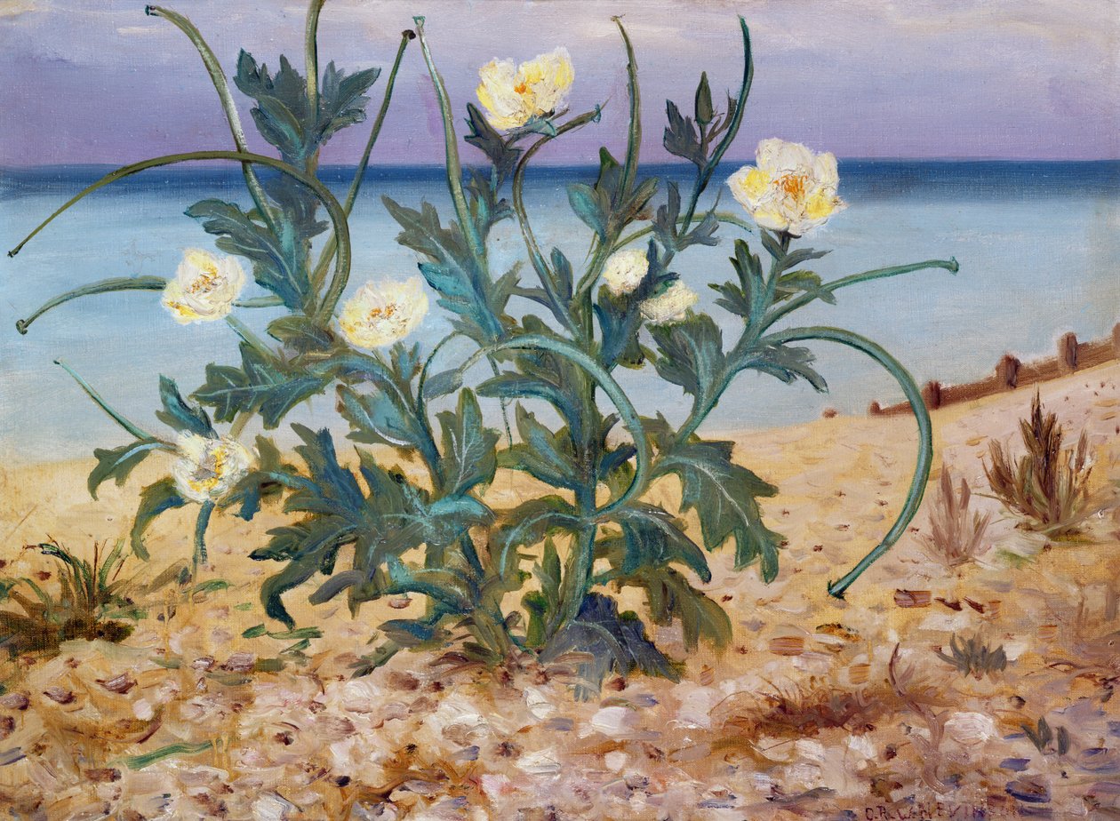Sanddyner, østkysten, 1944 av Christopher Richard Wynne Nevinson