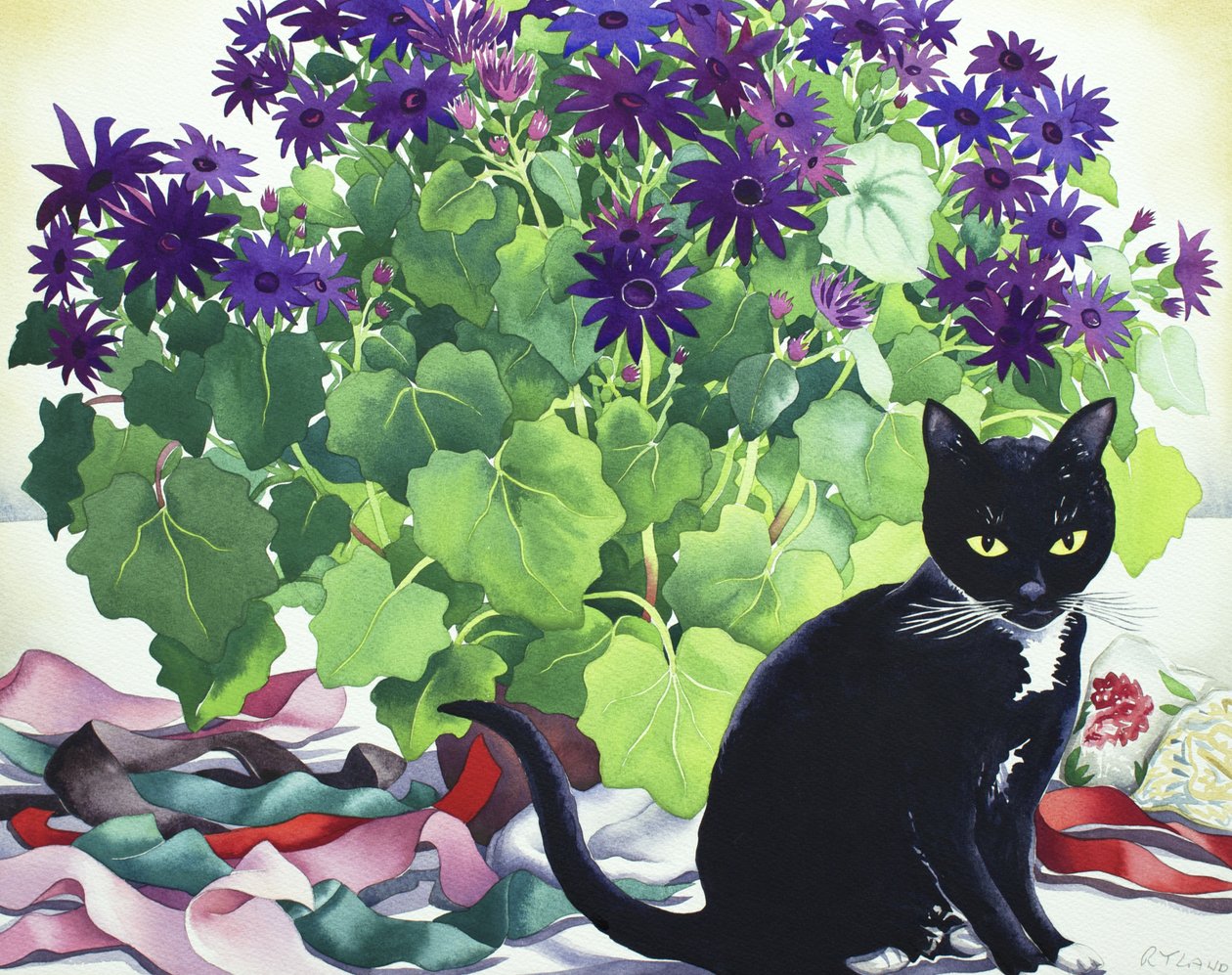 Senetti Plant og Cat av Christopher Ryland