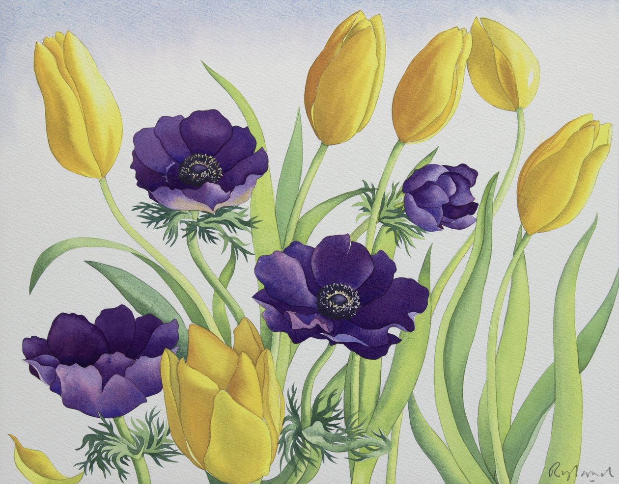 Tulipaner og anemoner av Christopher Ryland