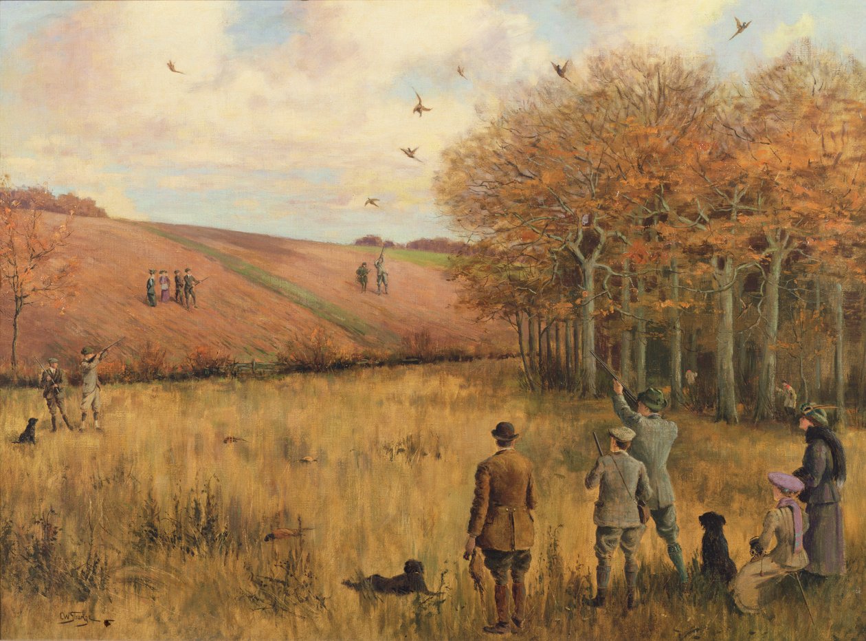 Fasanskyting av Christopher William Strange