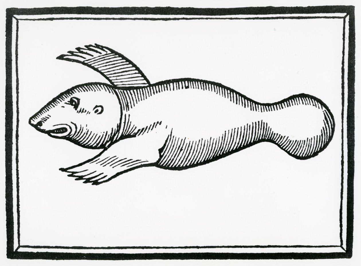 En fisk kalt 