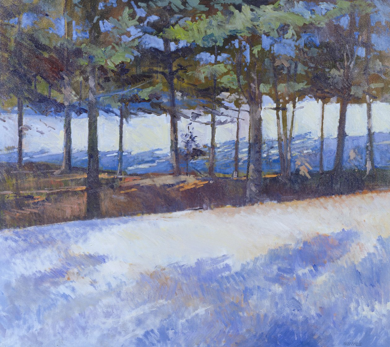 Frozen Lake, New York State (olje på lerret) av Christopher Glanville