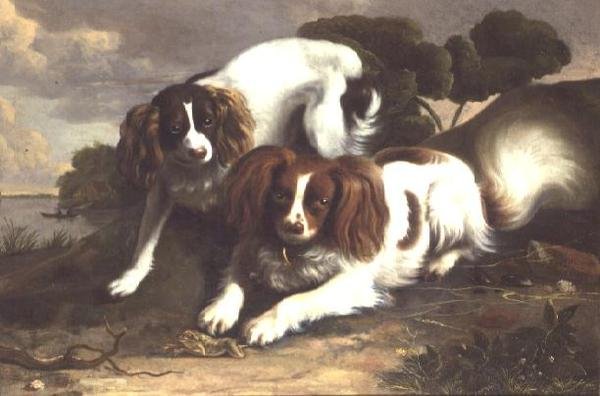 To King Charles Spaniels leker med en frosk av Christopher Pierson