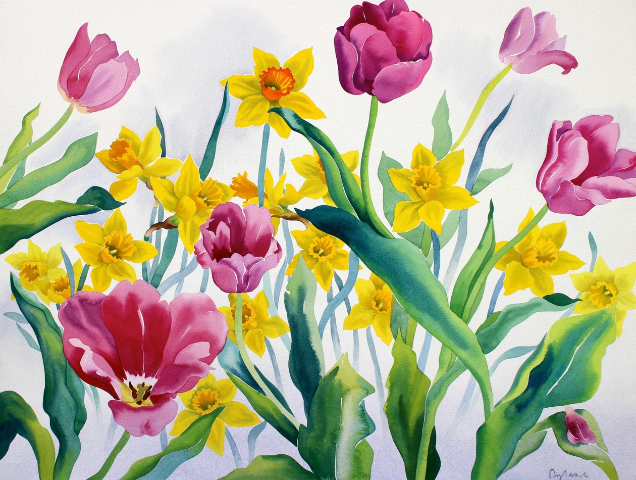 Påskeliljer og tulipaner (akvarell på papir) av Christopher Ryland