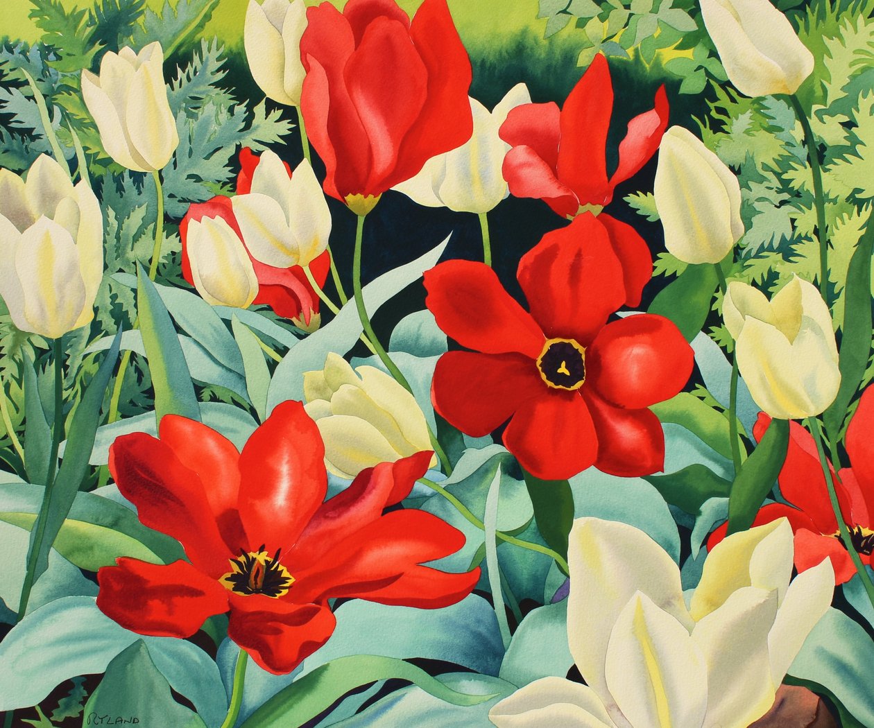 Tidlige tulipaner (akvarell på papir) av Christopher Ryland