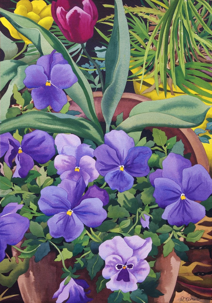 Blomsterpotter med stemorsblomster, 2007 (wc på papir) av Christopher Ryland