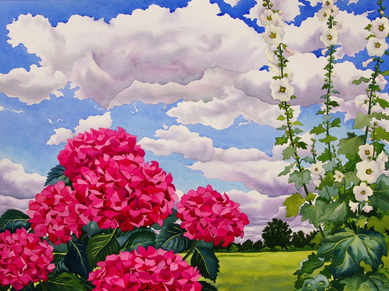 Blomster i kanten av en eng, 2008 (wc på papir) av Christopher Ryland