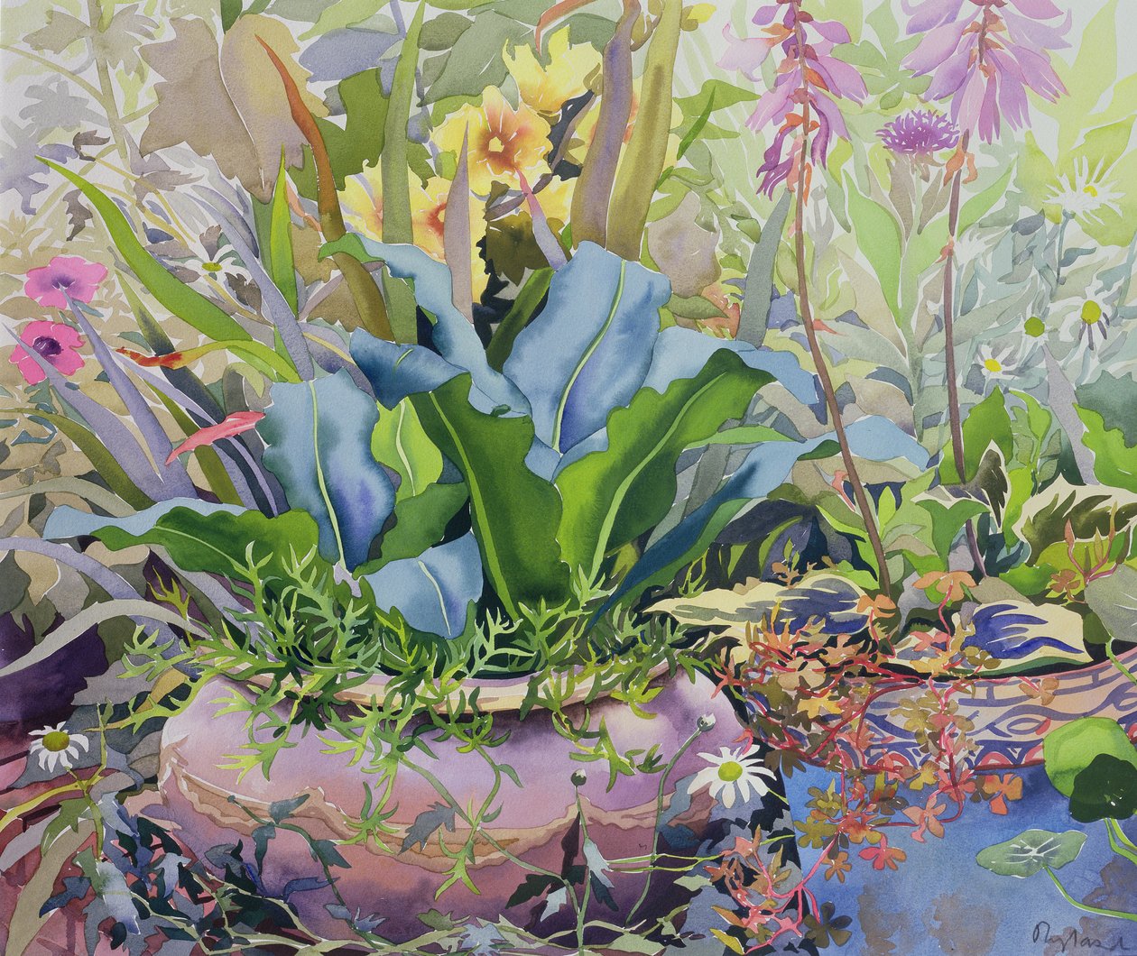 Hage med planter, 2000 (wc på papir) av Christopher Ryland