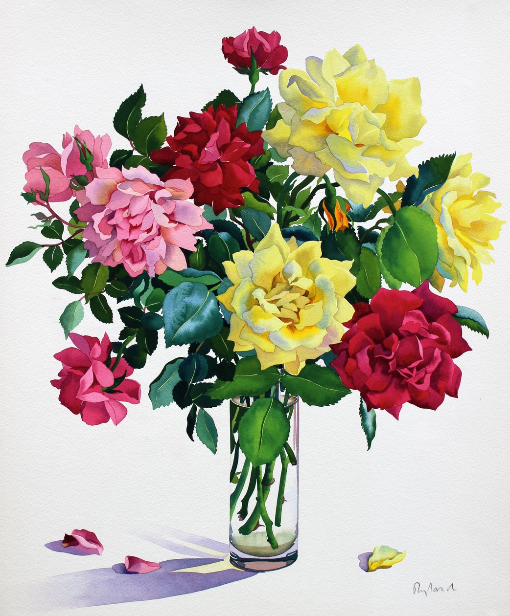 June Roses (akvarell på papir) av Christopher Ryland