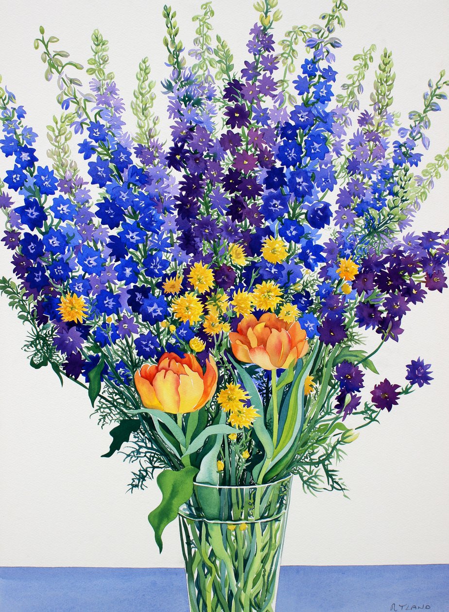 Larkspur og Delphiniums (akvarell på papir) av Christopher Ryland