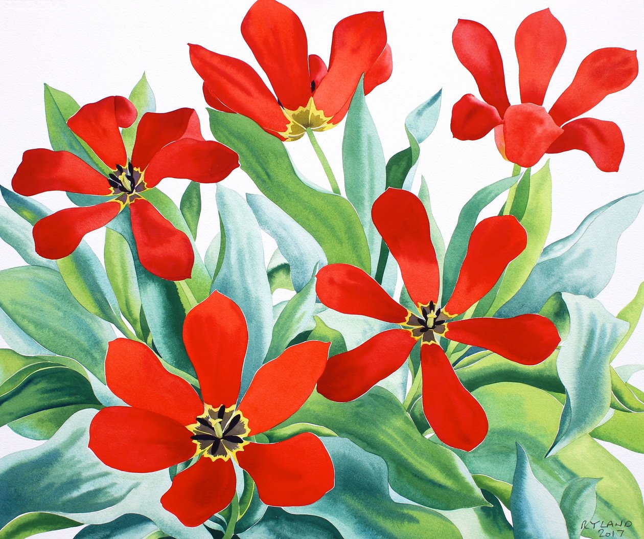 Madame Lefeber Tulips 2 (akvarell på papir) av Christopher Ryland