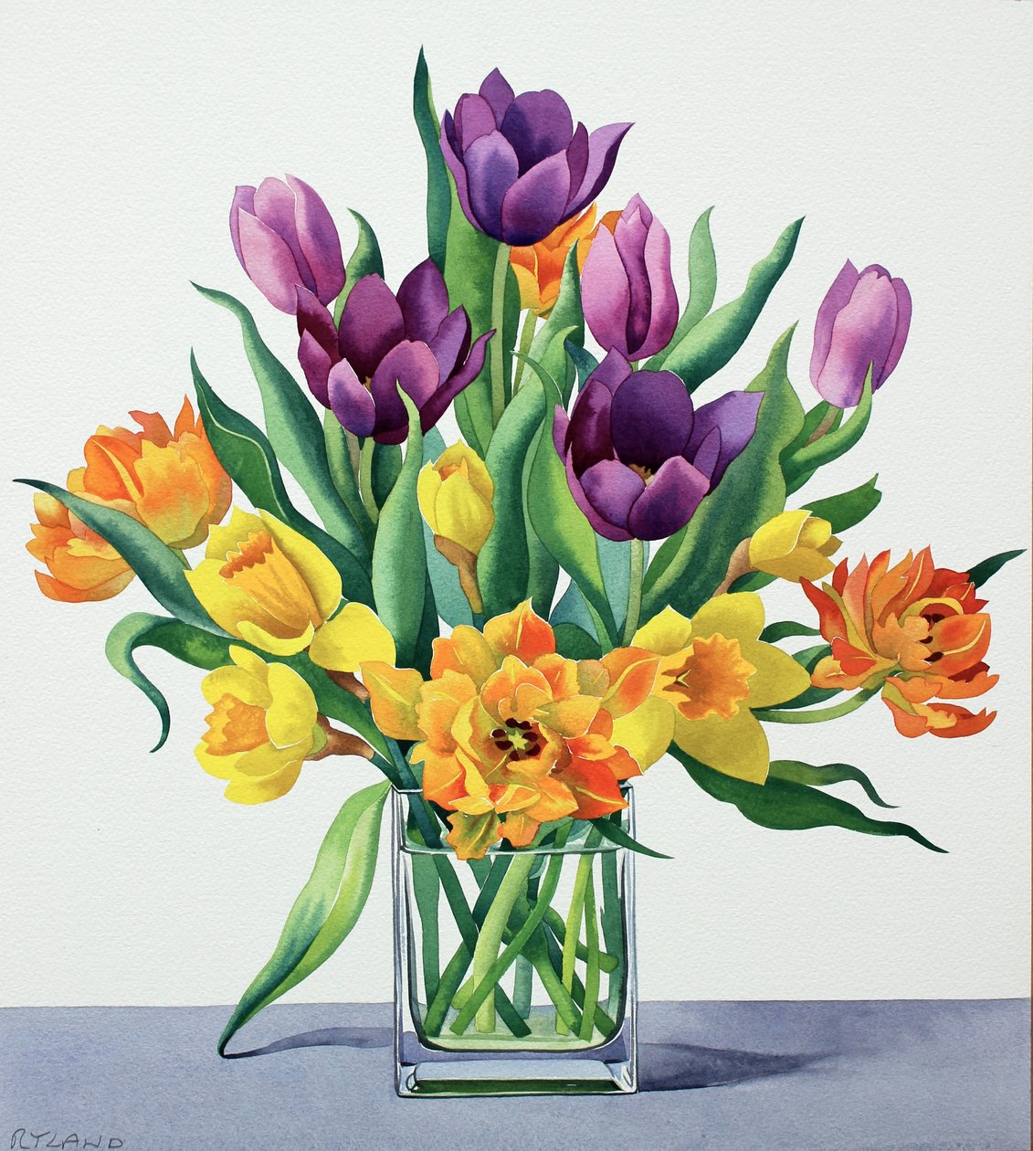 Vårblomster av Christopher Ryland