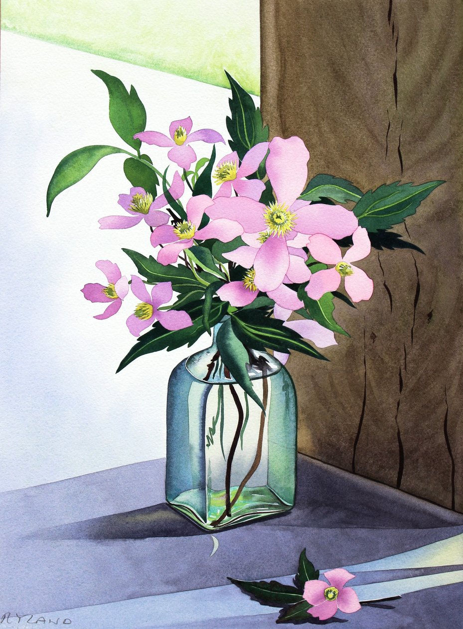 Still Life Pink Clematis (akvarell på papir) av Christopher Ryland