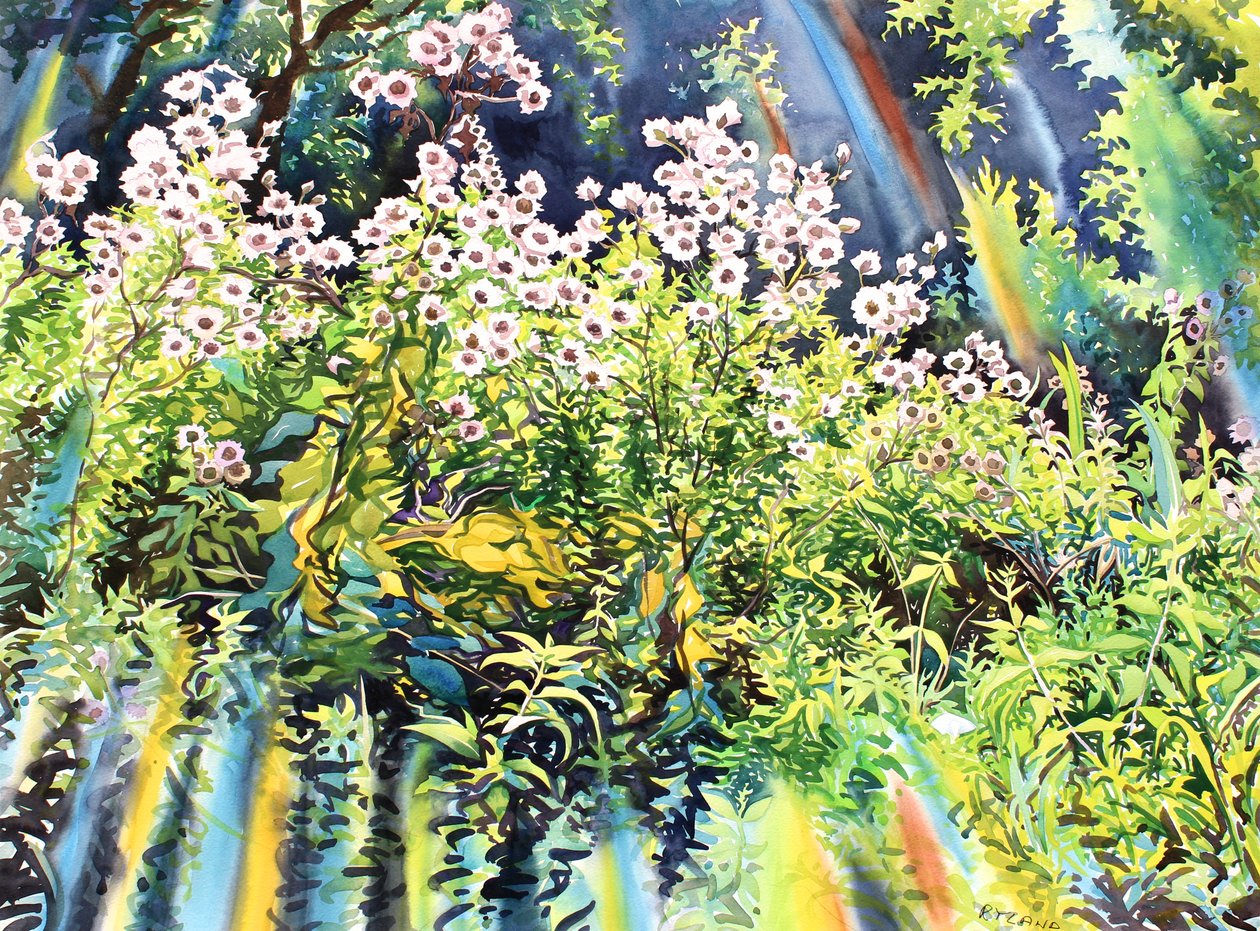Thistledown, 2016 (akvarell på papir) av Christopher Ryland